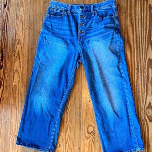 Madewell Slim Wide Leg Crop Denim Size 31